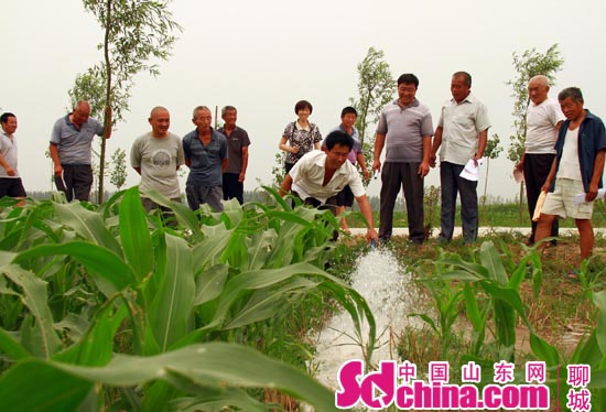 農民看著灌溉水流出，紛紛拍手叫好